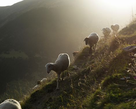 Große Natur auf kleinen Wegen - Wanderungen in der Kleingruppe-0