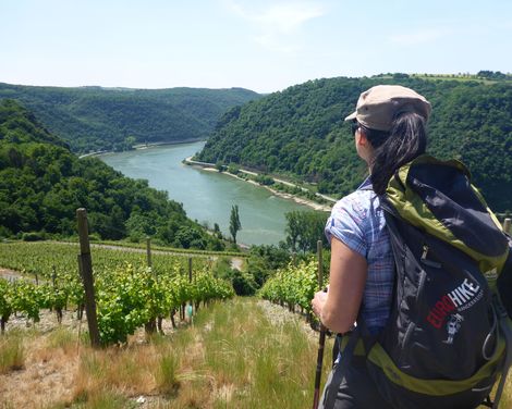 Wanderurlaub von Rüdesheim bis Kamp-Bornhofen-0