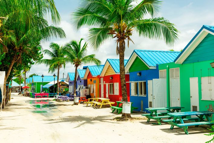Bunte Strandhäuser auf Barbados