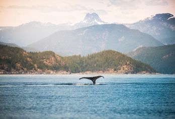 Alaska & Kanada