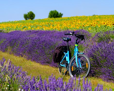 Auf den Spuren der Römer radeln-0