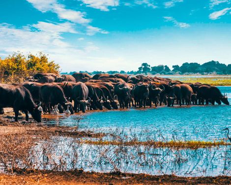 Erlebnisse in kleiner Gruppe, großartige Momente in wilder Landschaft-3