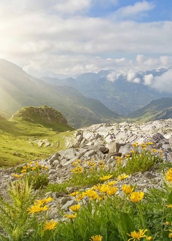 Tiroler Berge in Österreich