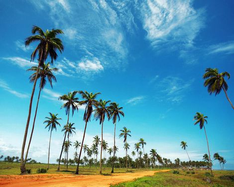 Zwischen Lehmburgen & Voodoo-0