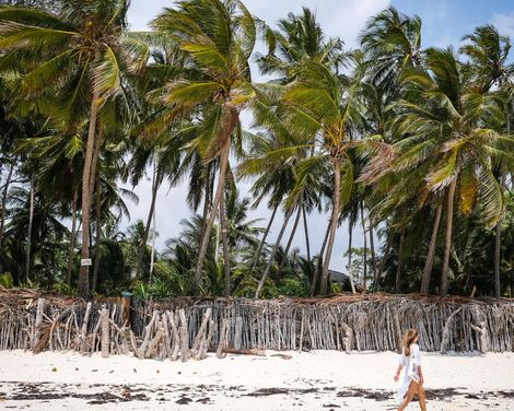 Safari, Zugfahrt & Badegenuss in kleiner Gruppe-3