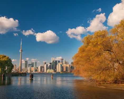 Nachprogramm facettenreiches Toronto