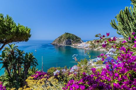 Ischia Blumen Meer