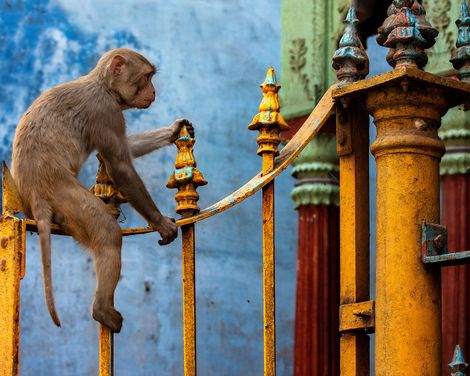 Auf den Spuren alter Kulturen und Traditionen-2