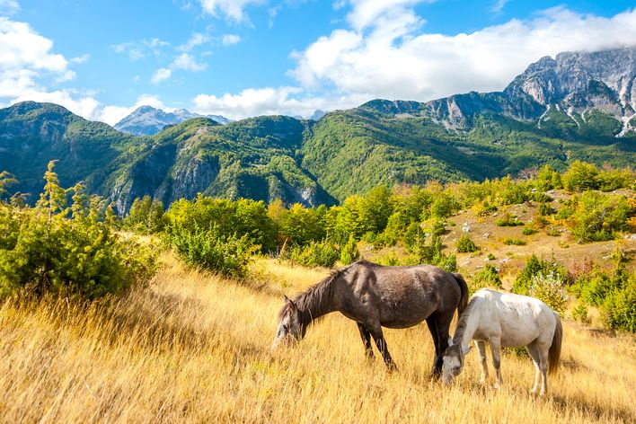 Typischen Landschaftsbild der albanischen Alpen mit Pferden im Vordergrund
