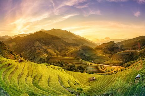 Bootsfahrt durch schattige Wasserkanäle im tropischen Mekong-Delta