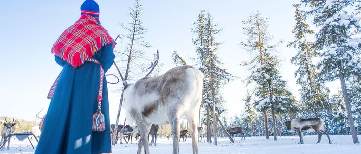 Rentier und Frau in Schweden