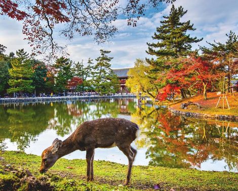 Große Eindrücke in kleiner Runde - Zen, Züge, Zauber-1