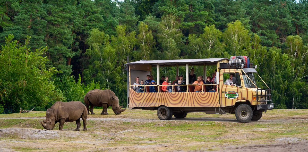 Busfahrt im Serengeti Park Hodenhagen