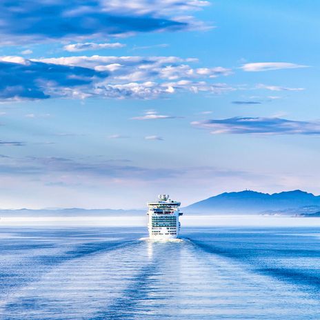 Kreuzfahrtschiff auf hoher See