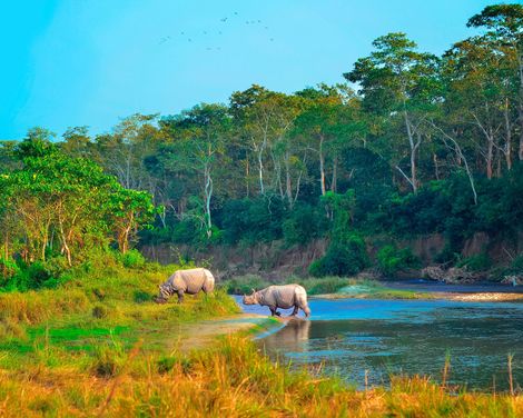Abenteuer zwischen Bergpfaden und Dschungelpfaden-3