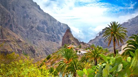 Masca Schlucht auf Teneriffa