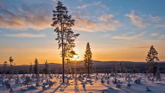 Winterlandschaft in Finnland