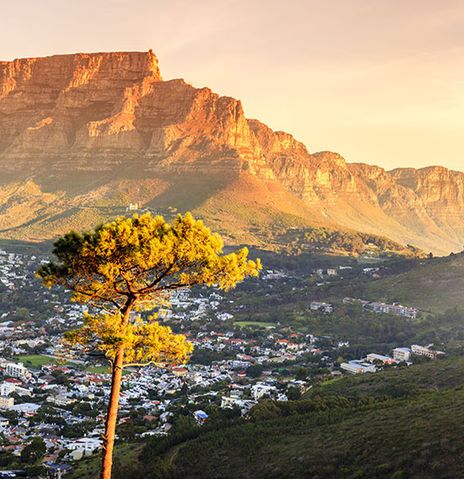 Blick auf Tafelberg und Kapstadt