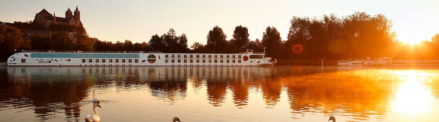 Blick auf das Flusskreuzfahrtschiff A-Rosa im Sonnenuntergang
