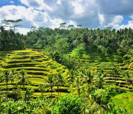 Indonesien
