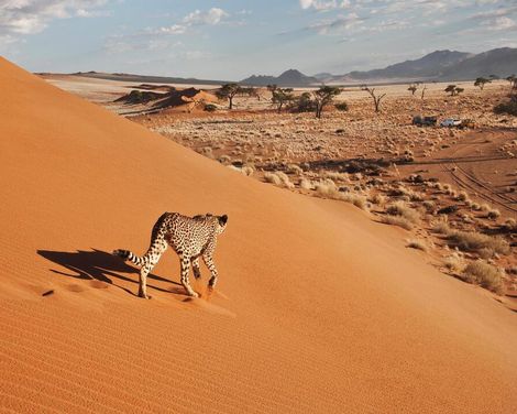 Afrikas wilde Seele erleben-0