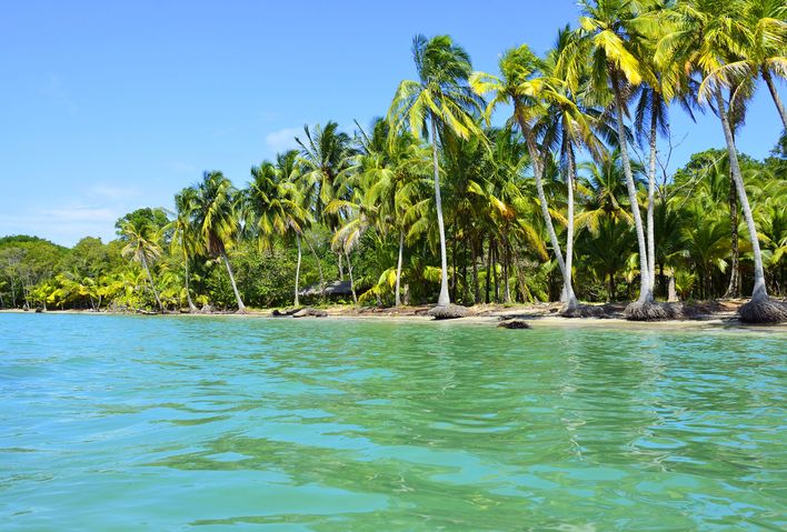 Strand mit Palmen und Häuschen