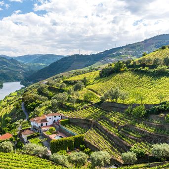 Blick auf den Douro und die umliegende Landschaft