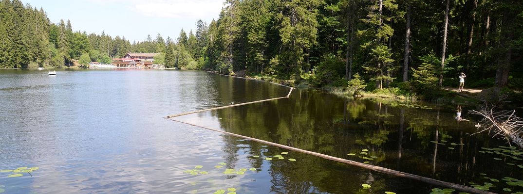 Blick auf den großen Arbersee im Bayerischen Wald