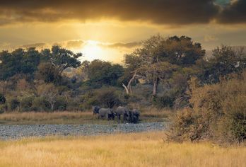 Namibia, Botswana & Simbabwe