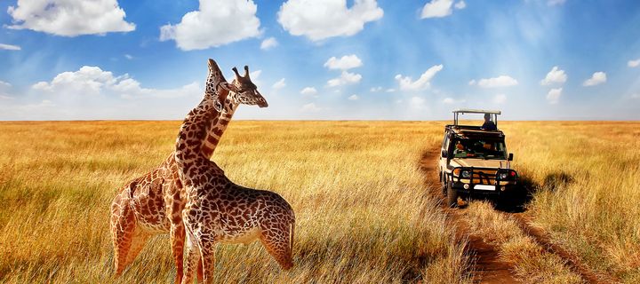 Serengeti-Park in Tansania