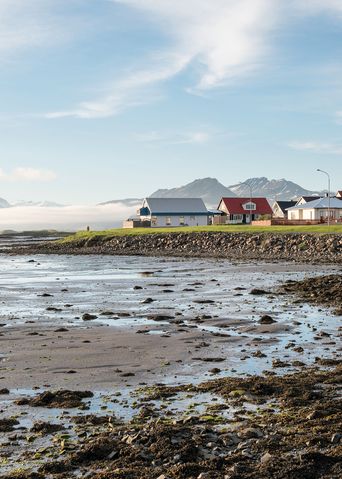 Blick auf Höfn