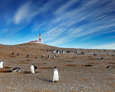 Kreuzfahrt mit Oosterdam ab Buenos Aires an Santiago de Chile-0