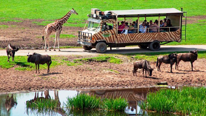 Serengeti-Park in Hodenhagen