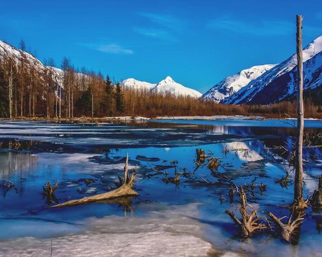 Kreuzfahrt mit der Celebrity Summit von Seward bis Vancouver inkl. Alaska- & Kanada-Rundreise