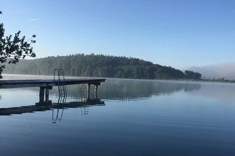 Mit Nebel durchzogene Landschaft im Schwarzwald mit See, Steg und Wald im Hintergrund