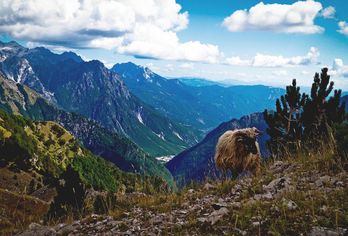 Albanien, Nordmazedonien & Kosovo