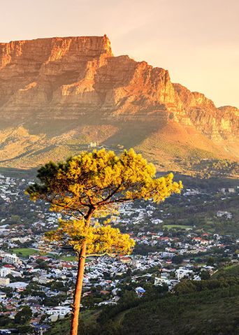 Blick auf Tafelberg in Kapstadt