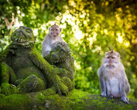 Kulturelle Schätze und tropische Landschaften
