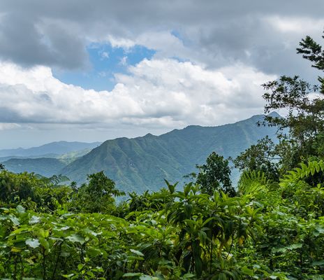 Sierra Maestra auf Kuba