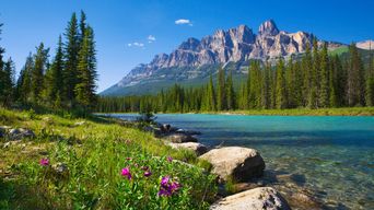 Sommerliche Landschaft im Banff Nationalpark in Kanada