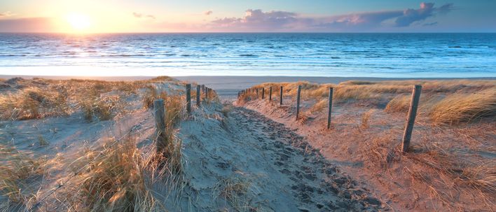 Blick auf Strand und die Dünen von Zandvoort