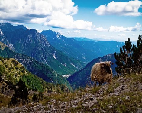 Einzigartige Entdeckungen im Balkan-0