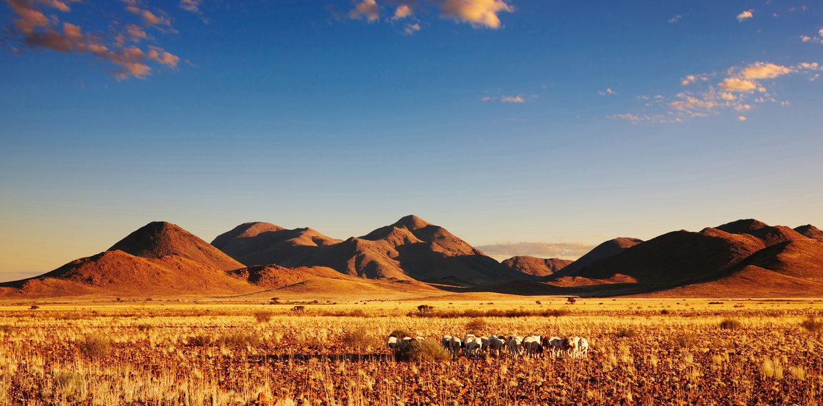 Kalahari Wüste in Botswana