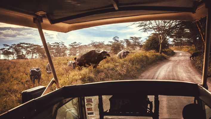 Safari im Jeep durch Kenia