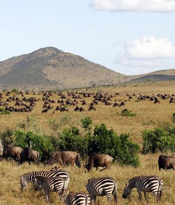Kenia