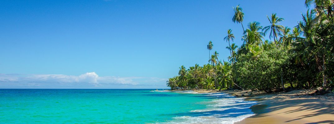 Tropischer Strand an der Karibikküste Costa Ricas mit türkisfarbenem Meer und Palmen