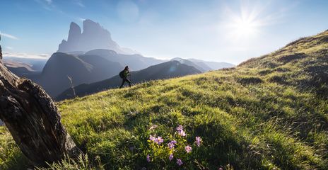Frau wandert auf einer Bergwiese bei strahlendem Sonnenschein berghoch