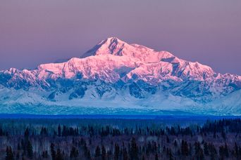 Denali Nationalpark in Alaska