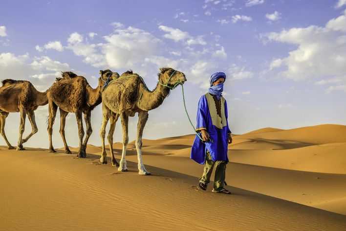 Blick auf einen Mann mit Kamelen in der Sahara 