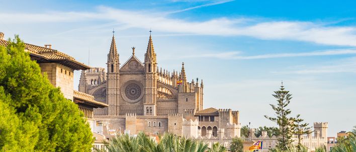 Blick auf die Kathedrale von Palma de Mallorca mit Palmen im Vordergrund